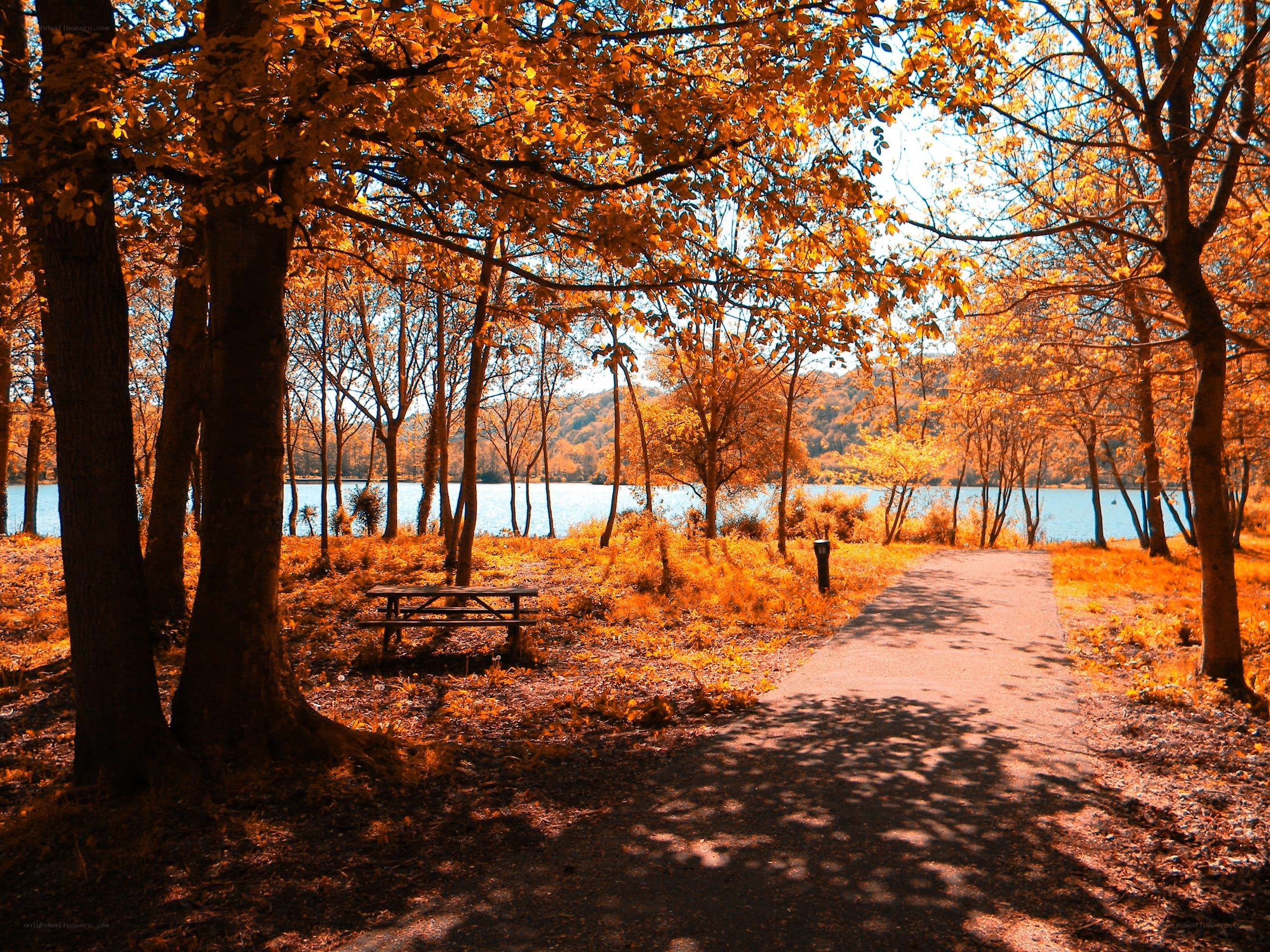 Autumn path by the lake