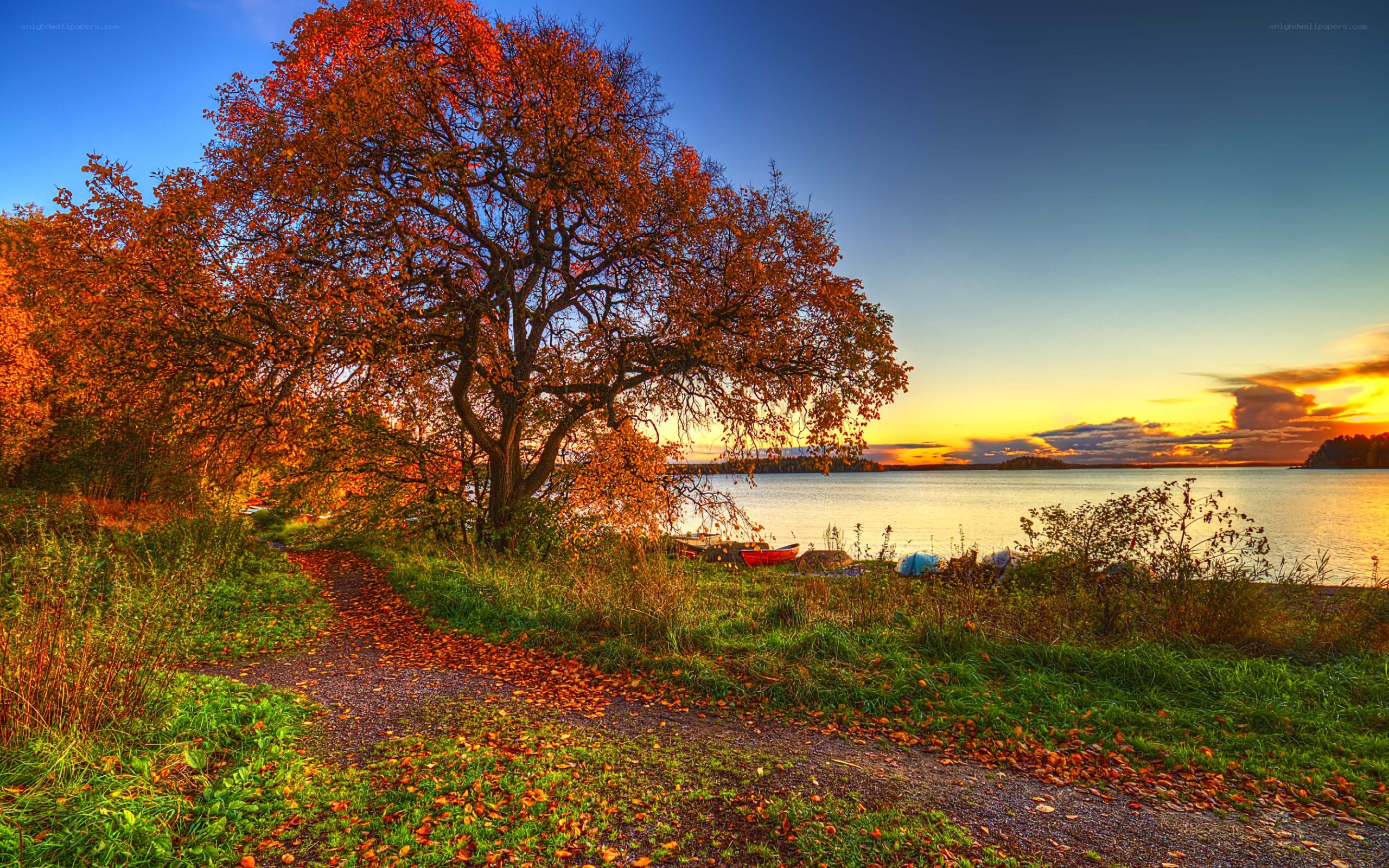 Autumn path by the lake