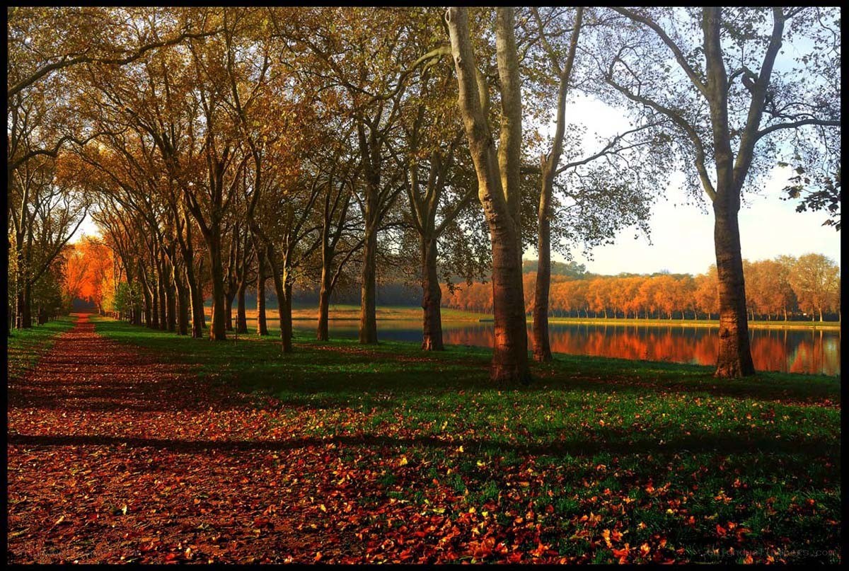 Autumn path by the lake