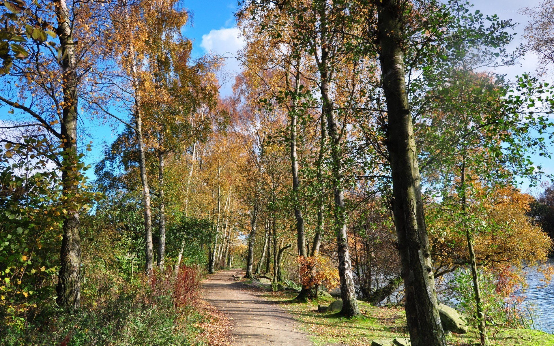 Autumn path by the lake