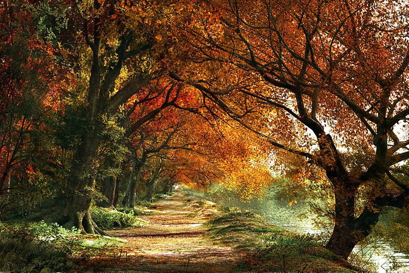 Autumn path by the river