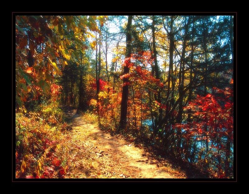 Autumn path by the water