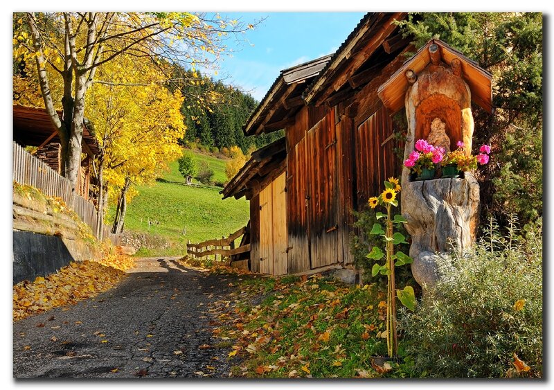 Autumn path by wooden cabin