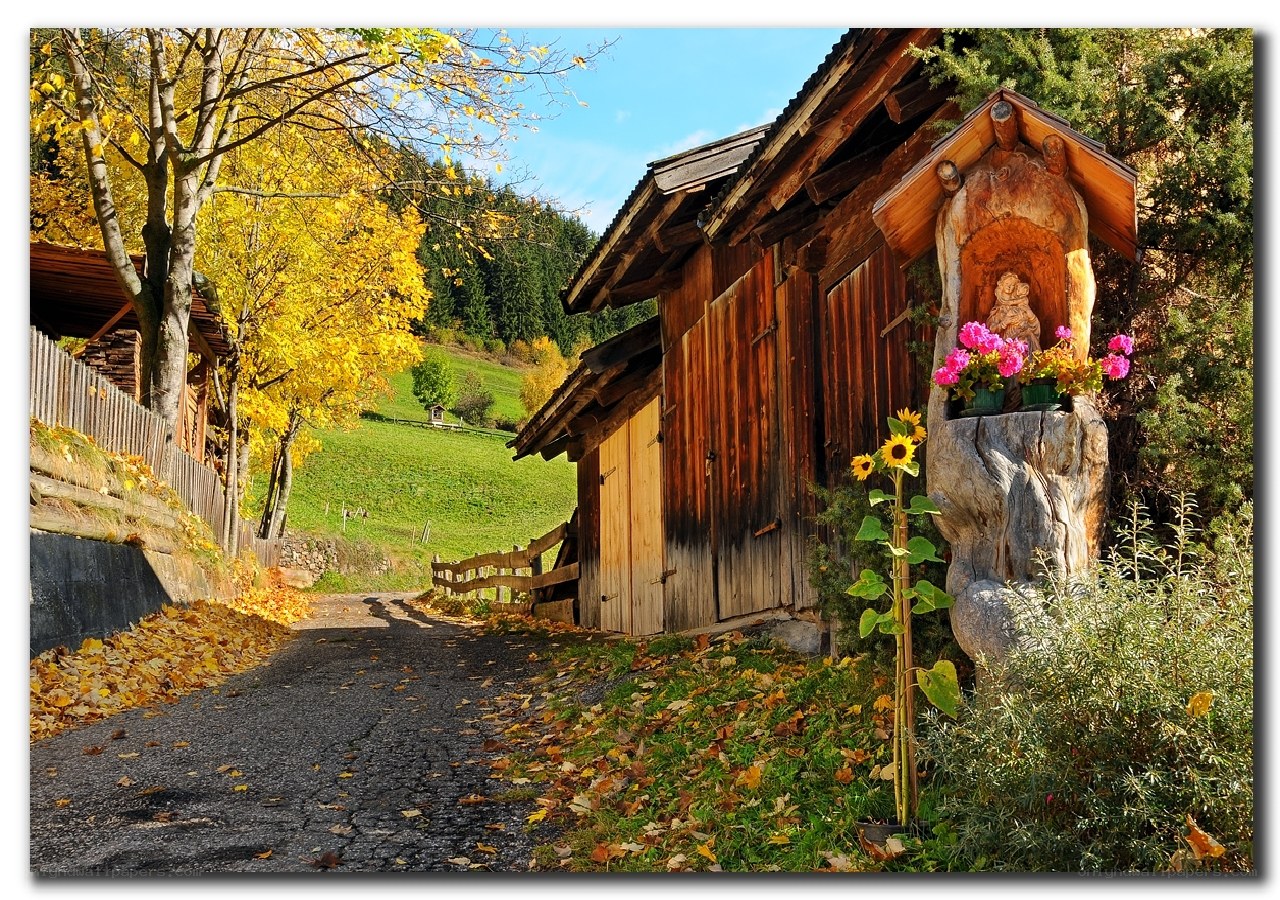 Autumn path by wooden cabin