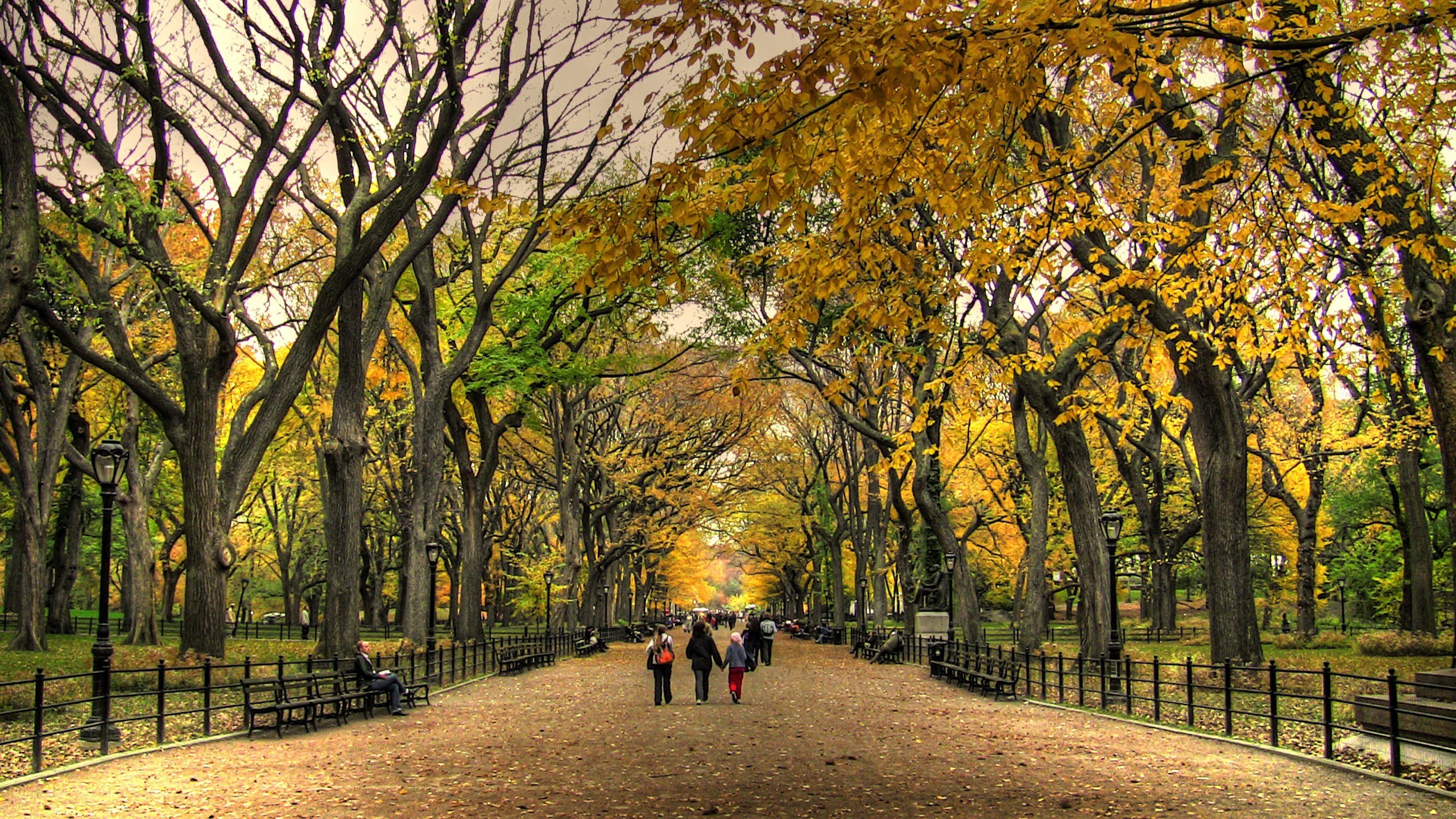Autumn path in a city park