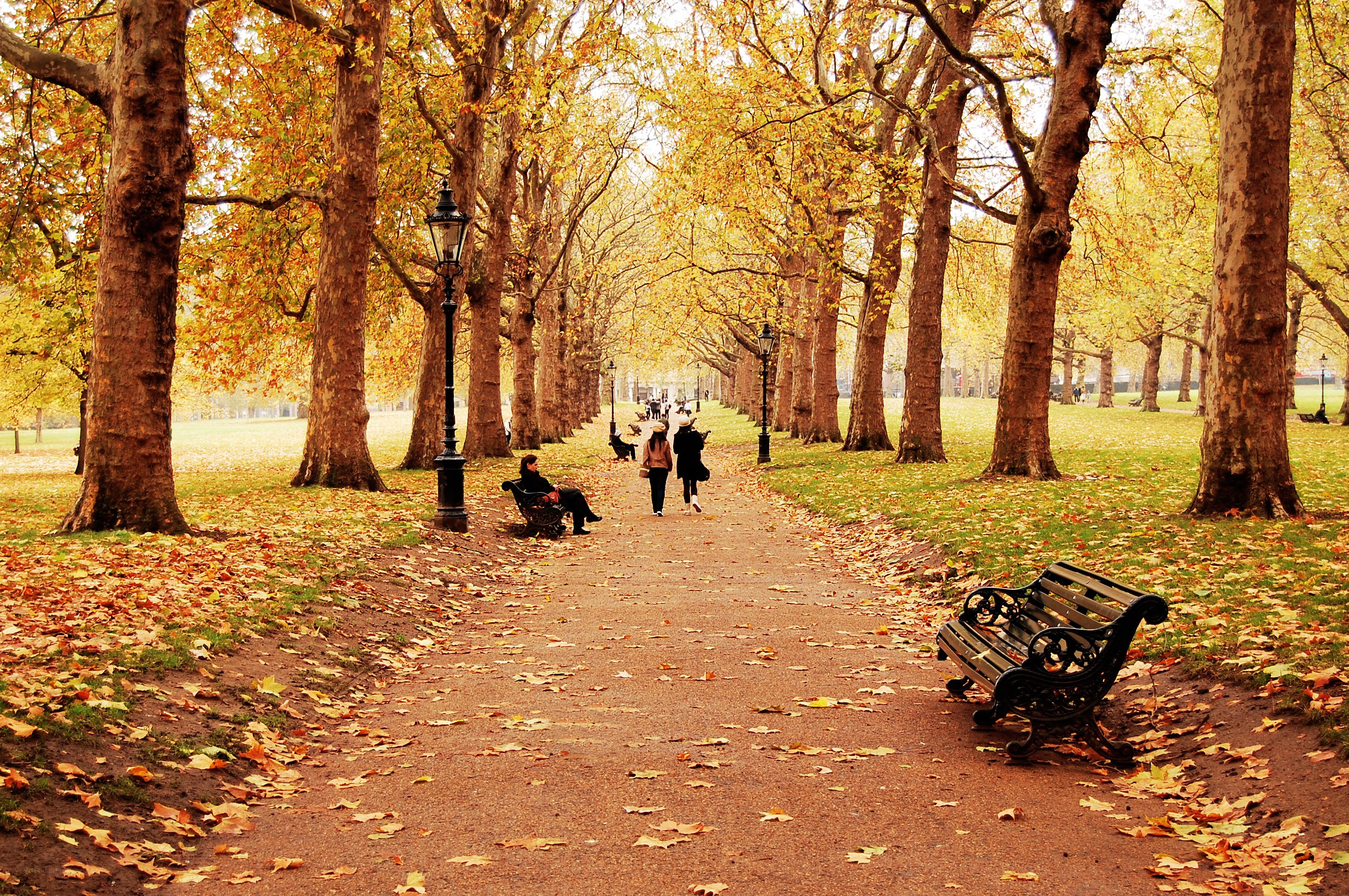 Autumn path in a city park