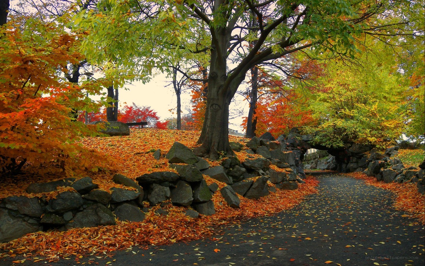 Autumn path in a park