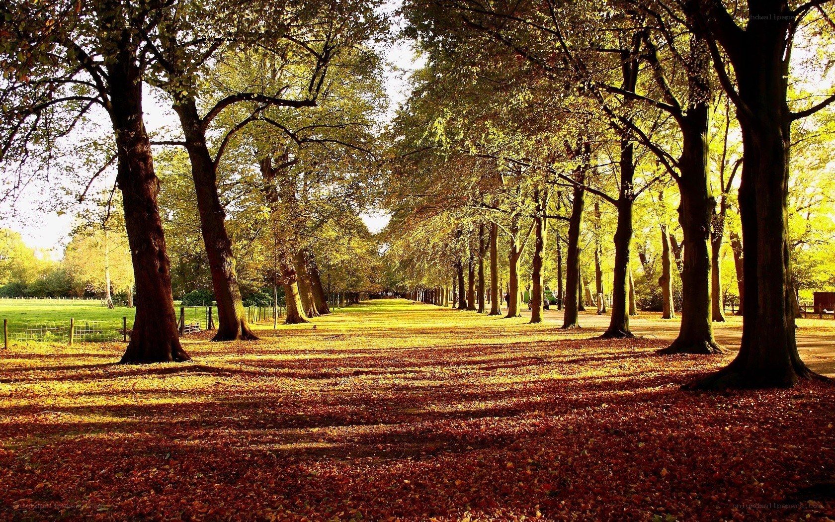 Autumn path in a park