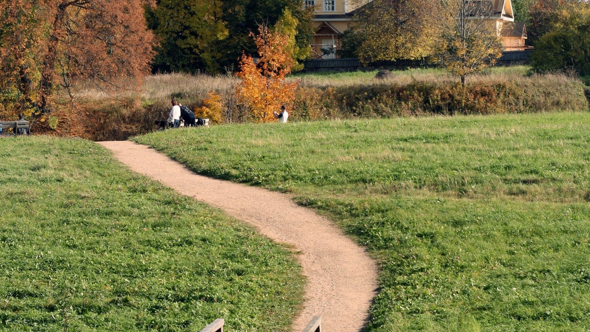 Autumn path in a park