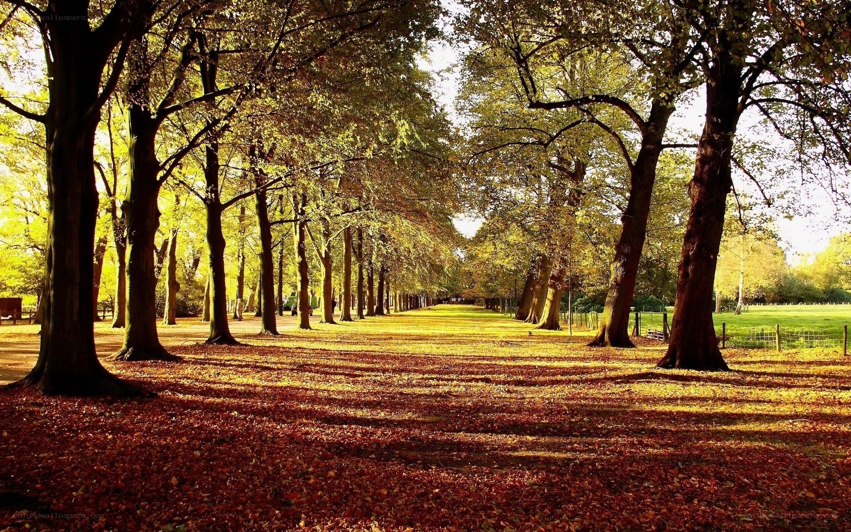 Autumn path in a park