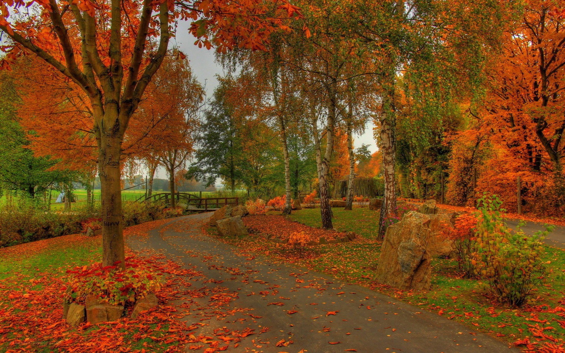 Autumn path in a park