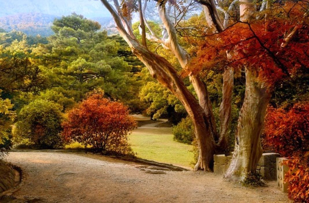 Autumn path in a park