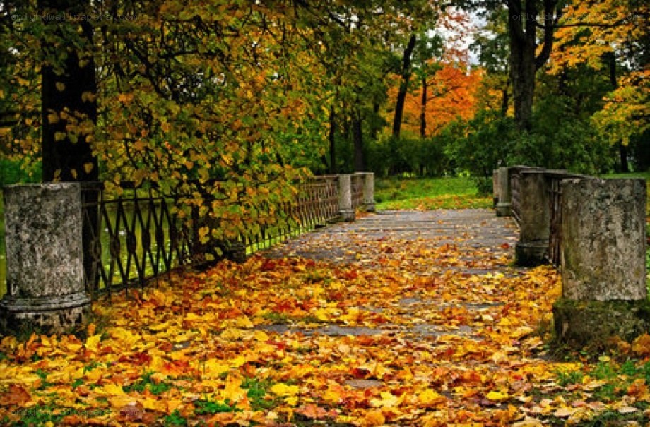 Autumn path in a park