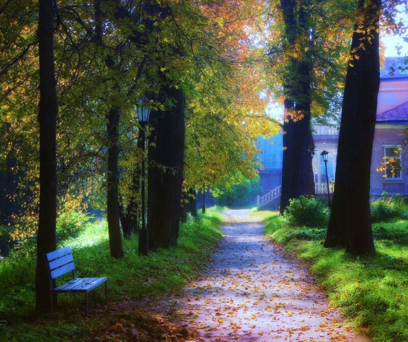 Autumn path in a park