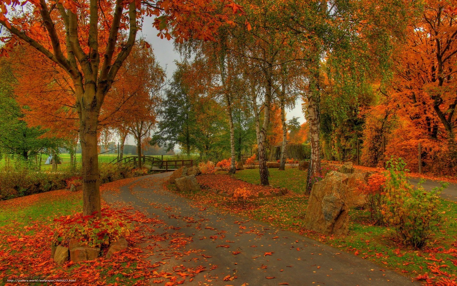 Autumn path in a park