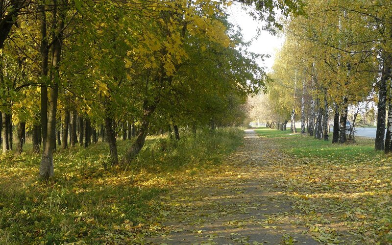 Autumn path in a park