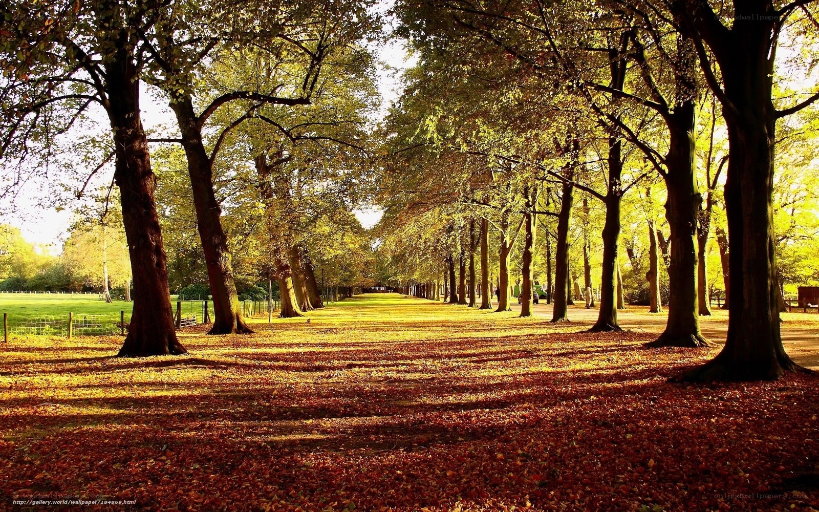 Autumn path in a park