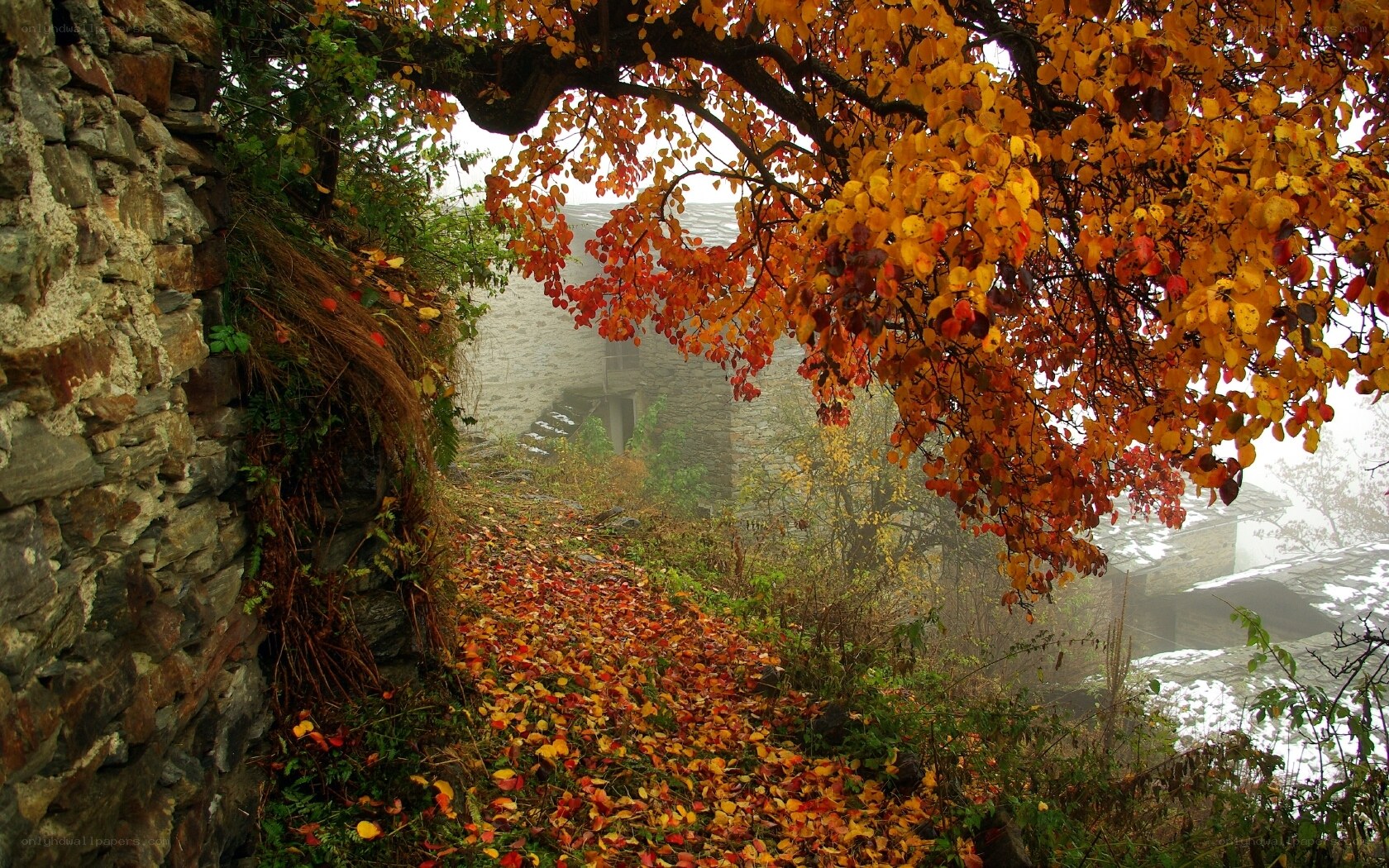 Autumn path in a stone village