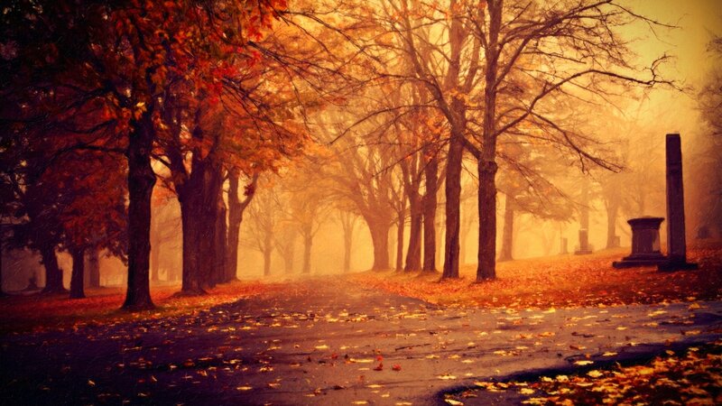 Autumn Path in Cemetery — Orange, Misty, Photograph