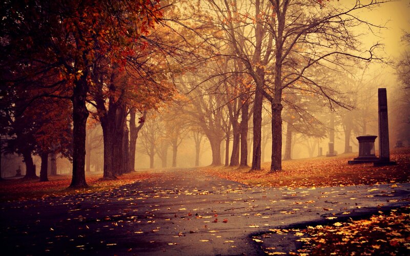 Autumn Path in Cemetery — Orange, Misty