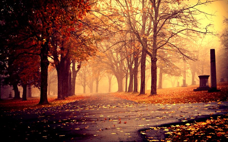 Autumn Path in Cemetery — Orange, Serene
