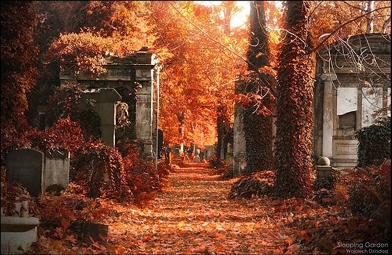 Autumn Path in Cemetery