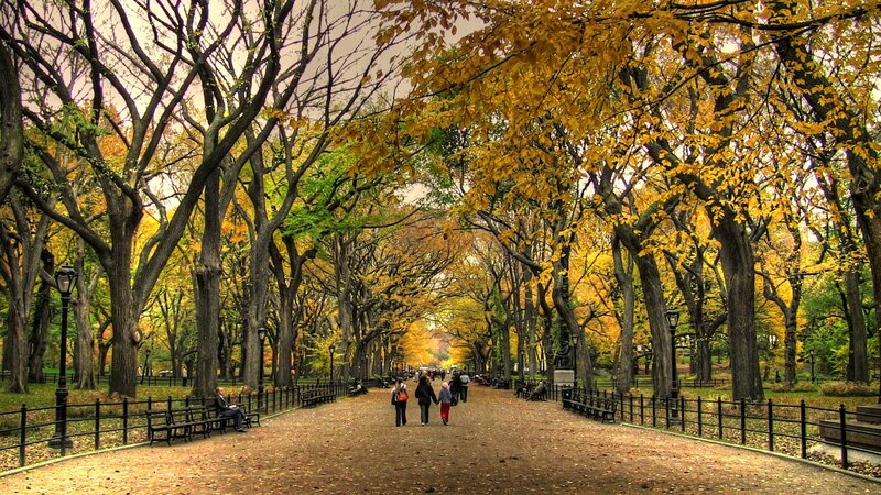 Autumn path in Central Park