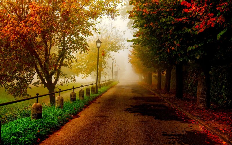 Autumn Path in Fog — Orange