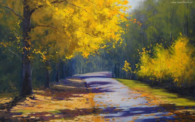 Autumn path in forest