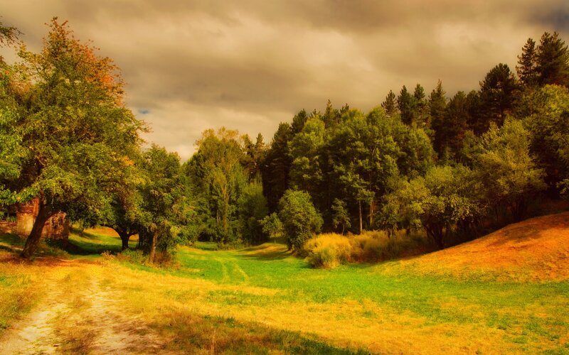 Autumn Path in Forest — Green, Dramatic