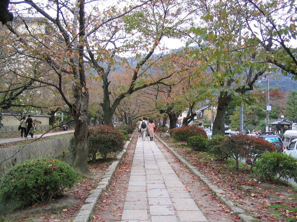 Autumn path in Kyoto