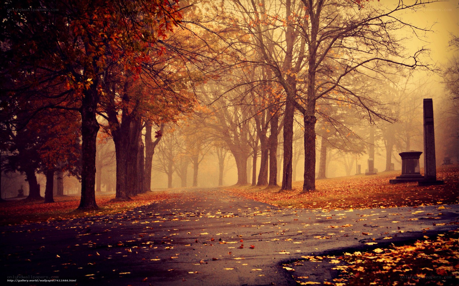 Autumn path in misty cemetery