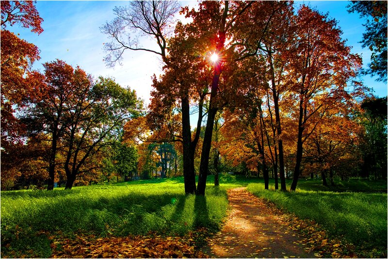 Autumn Path in Park — Green