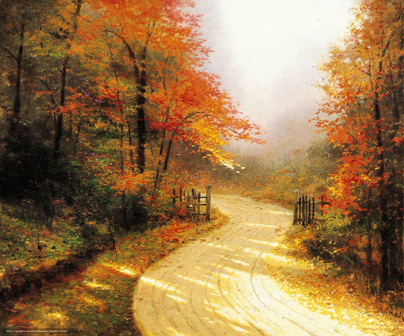 Autumn path in the forest