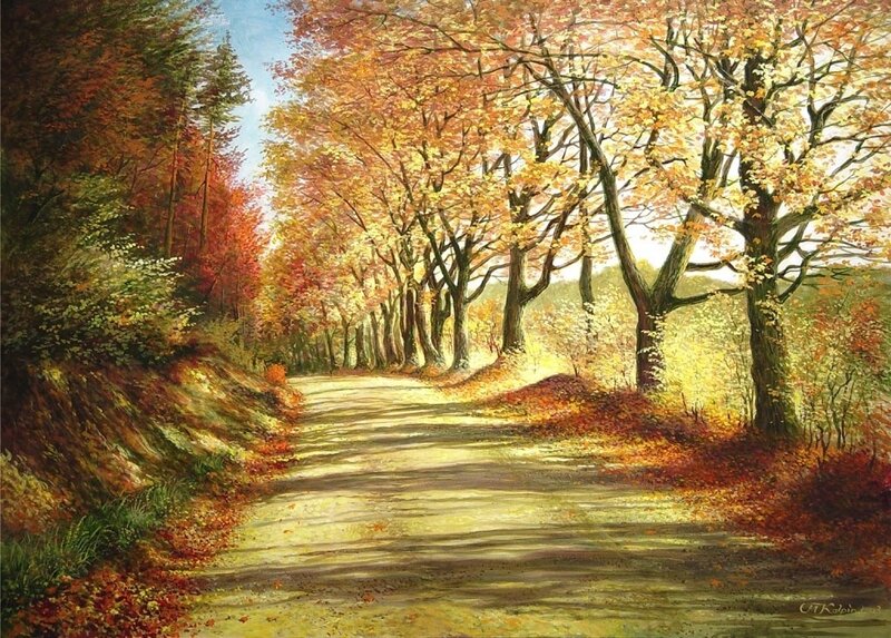 Autumn path in the forest