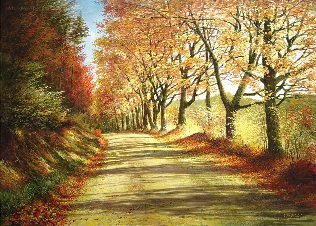 Autumn path in the forest