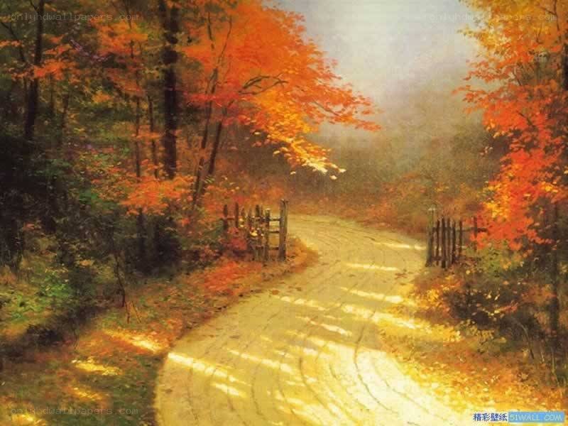 Autumn path in the forest