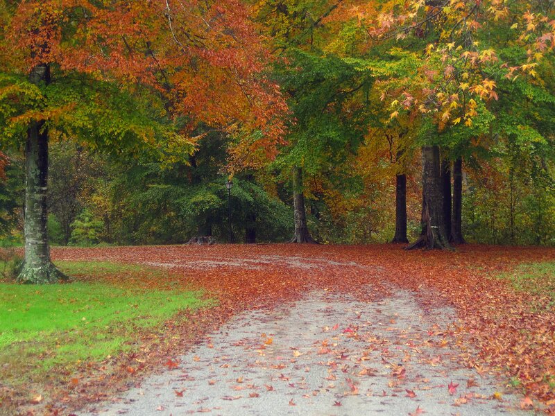 Autumn path in the park