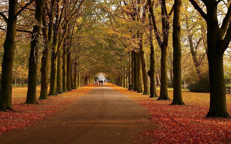 Autumn path in the park