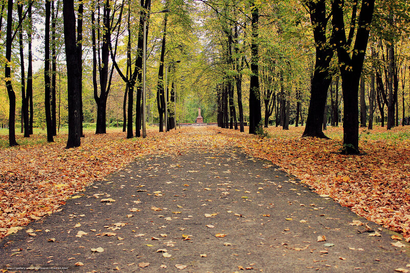 Autumn path in the park