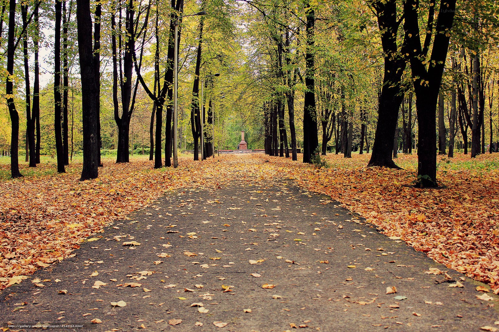 Autumn path in the park