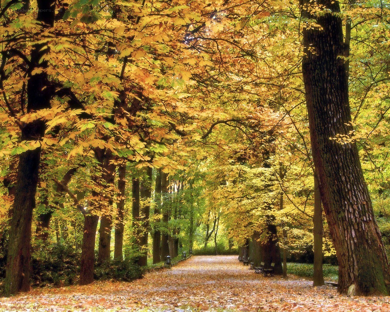 Autumn path in the park