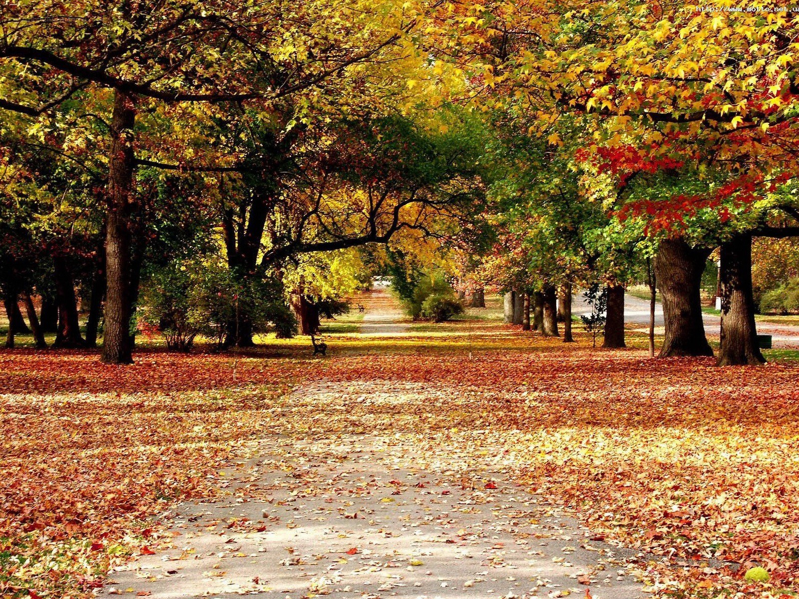 Autumn path in the park