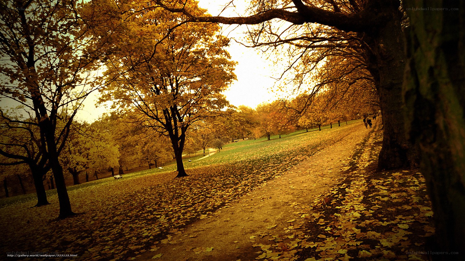 Autumn path in the park