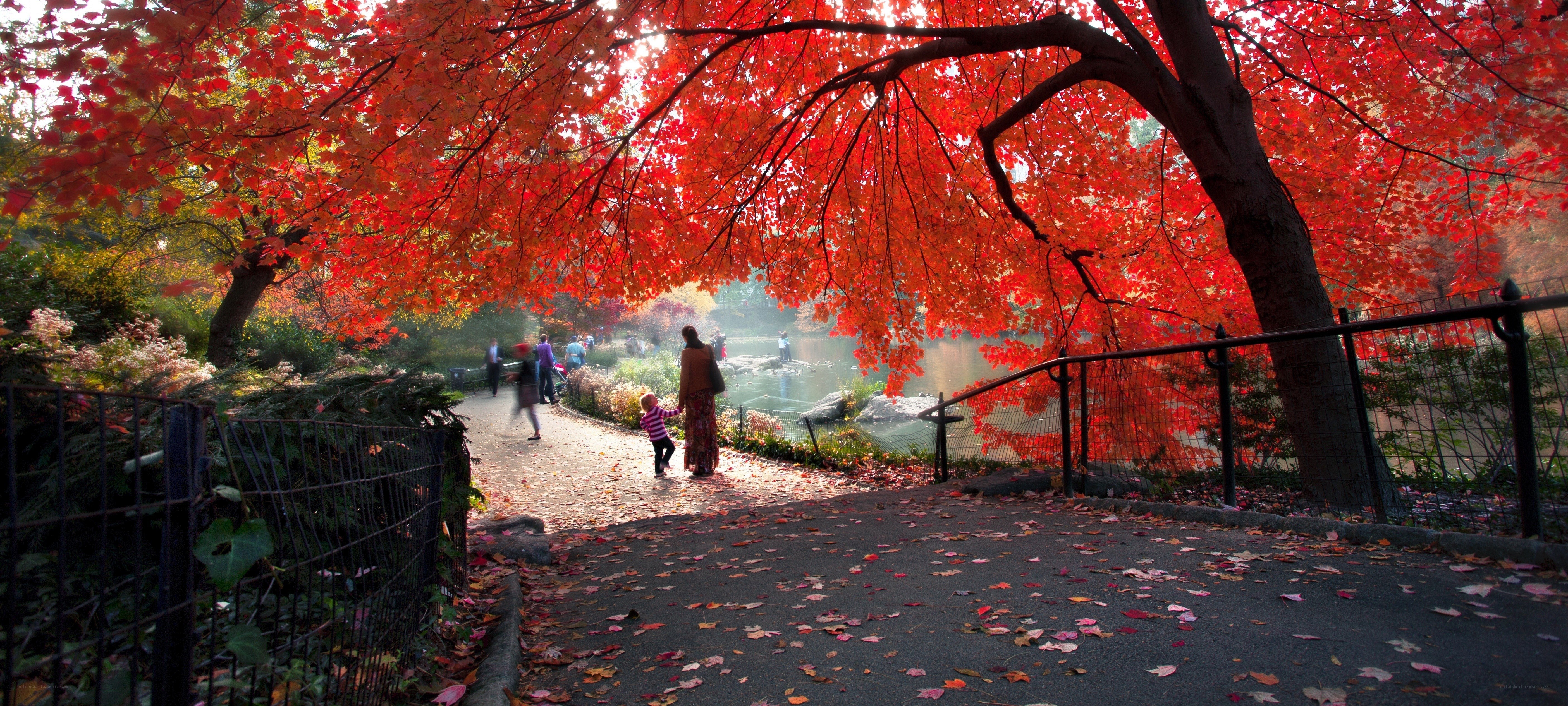 Autumn path in the park