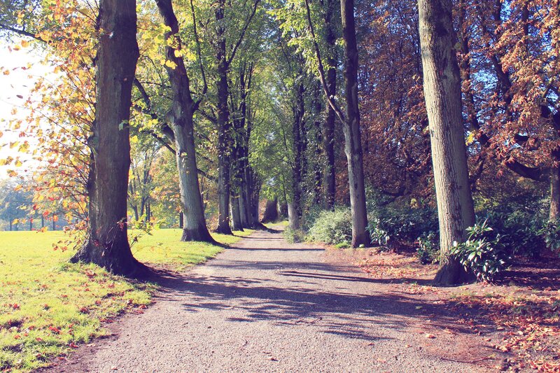 Autumn path in the park