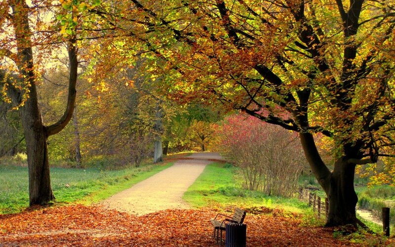 Autumn path in the park