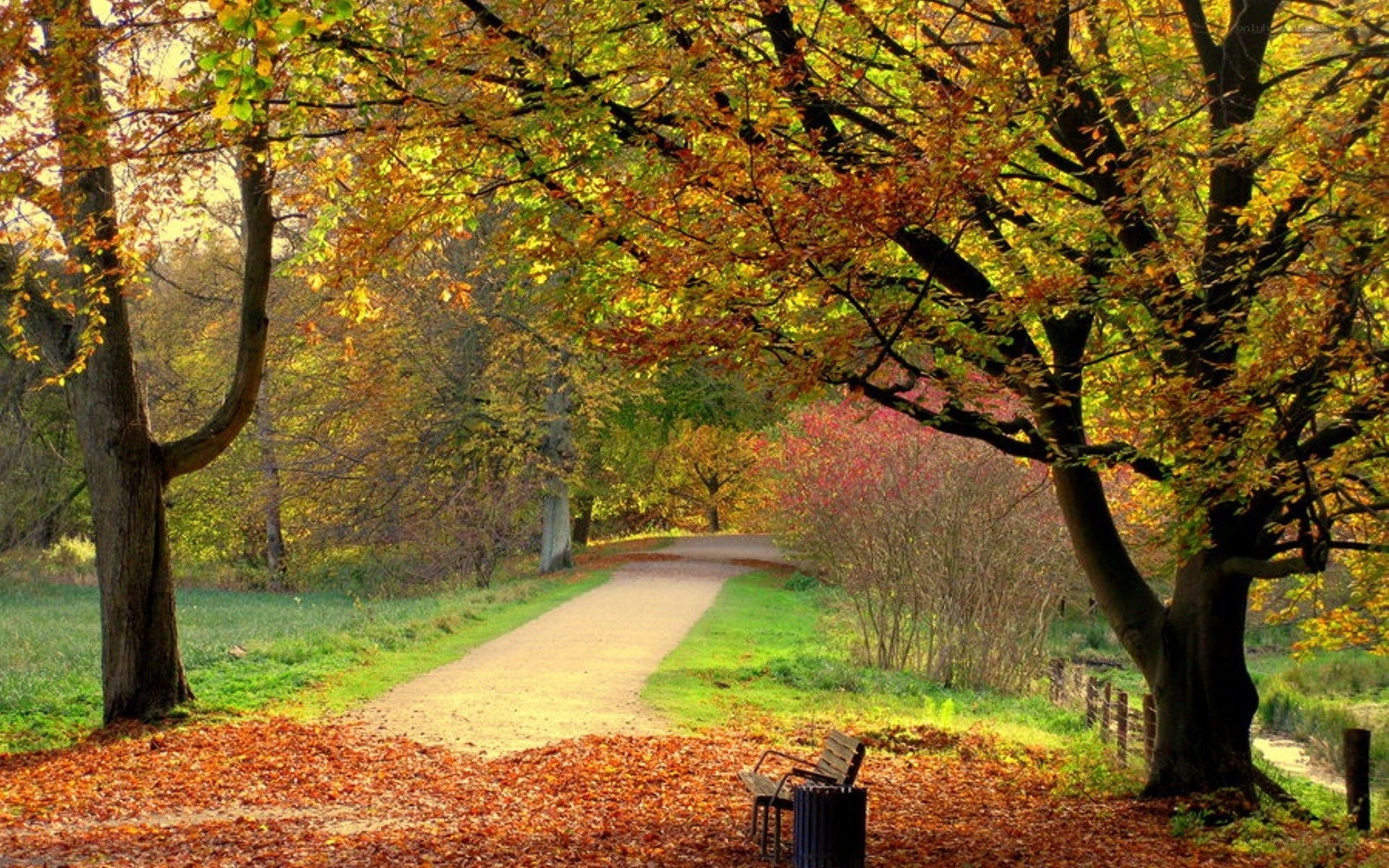 Autumn path in the park