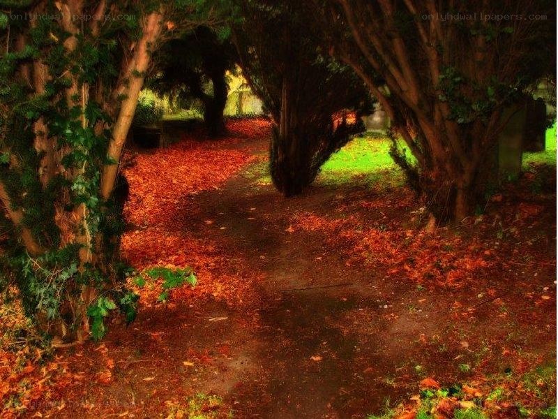 Autumn path in the park