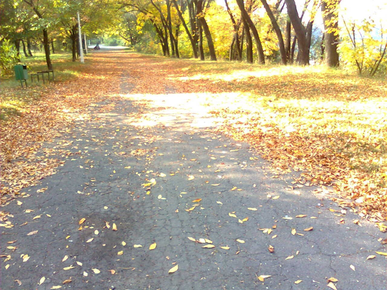 Autumn path in the park